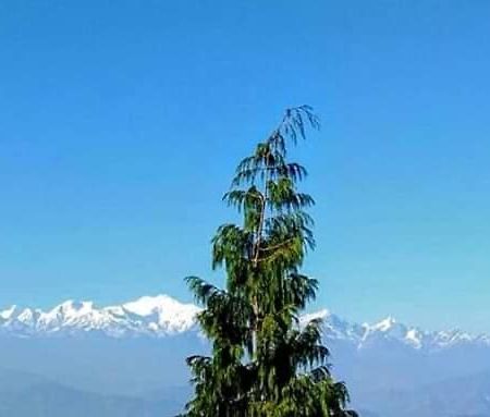 The Mountain View Apartment Darjeeling  Bagian luar foto